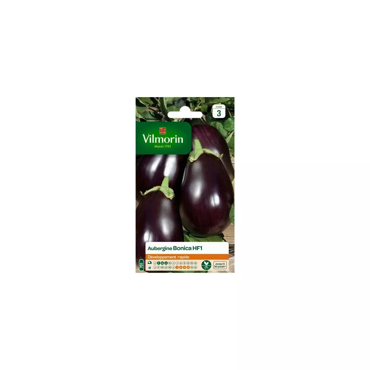 Bonica Eggplant seeds bag HF1