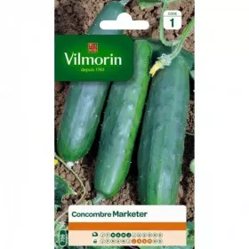 Cucumber Marketer Seed Bag