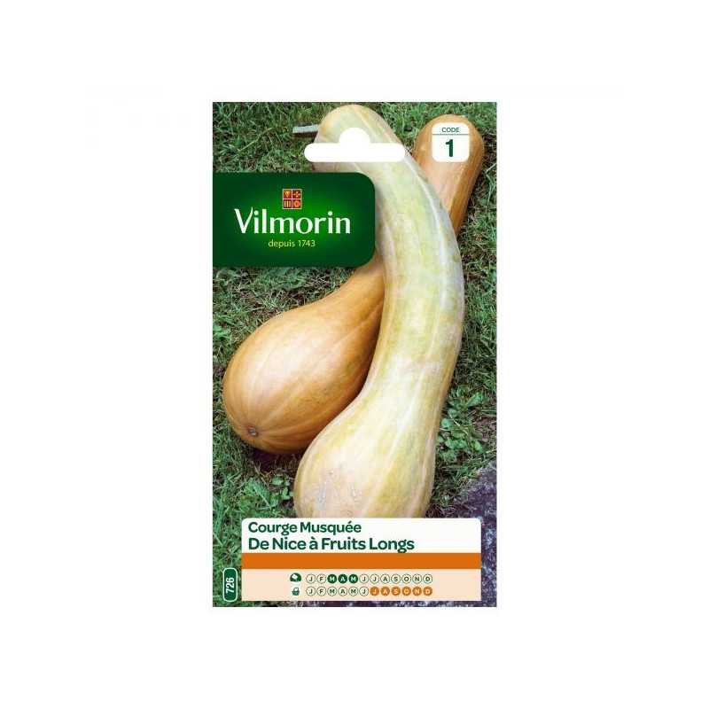 Bustina di semi Zucca moscata di Nizza a frutto lungo Bustina di semi Zucca moscata di Nizza a frutto lungo