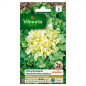 Bag semi Chicory Scarole gigante mercato giardino razza Salanca
