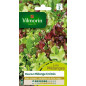 Mesclun Semi Borsa Cretese Mix