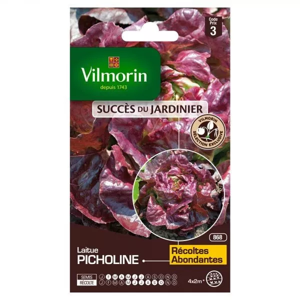 Picholine lettuce seed packet