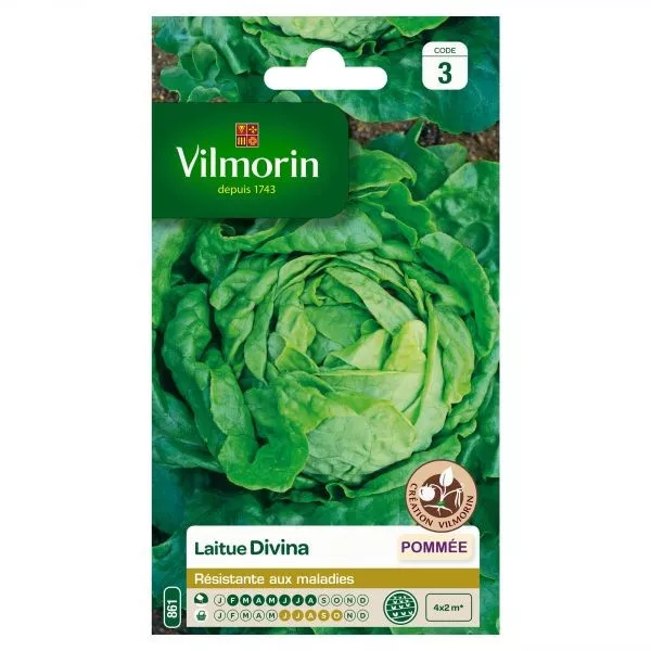 Seed packet Divina lettuce