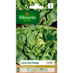 Bag of seeds Lettuce Val d'Orge