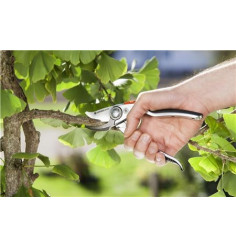 BP 50 Premium Gardena Secateurs