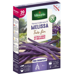 Haricot violet sans fil Melissa très fin 20 mètres