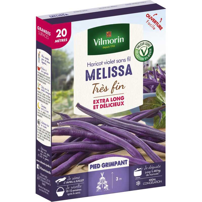 MELISSA Samen violette Bohne fadenlos, sehr fein - 20 Meter Reihe MELISSA Samen violette Bohne fadenlos, sehr fein - 20 Meter Reihe