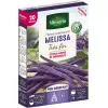 Purple violet bean Melissa very fine 20 meters
