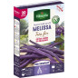 Semillas de judía morada sin hebra Melissa muy fina - 20 metros de hilera Semillas de judía morada sin hebra Melissa muy fina - 20 metros de hilera