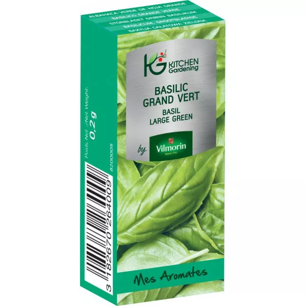 Kitchen Gardening - Basililc grand vert