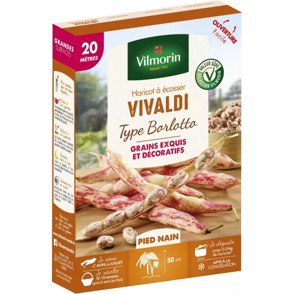 Vivaldi 20m Borlotto shelling beans - Phaseolus Vulgaris