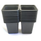 Pack di 20 Vasetti Quadrati Neri in Plastica 7cm