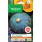 Borsa di semi di zucca (Kabocha squash ) Green Hokkaido Borsa di semi di zucca (Kabocha squash ) Green Hokkaido
