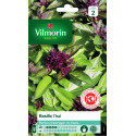 Thai Basil Seeds Vilmorin - Spiced Aniseed Aroma, Purple Flowers