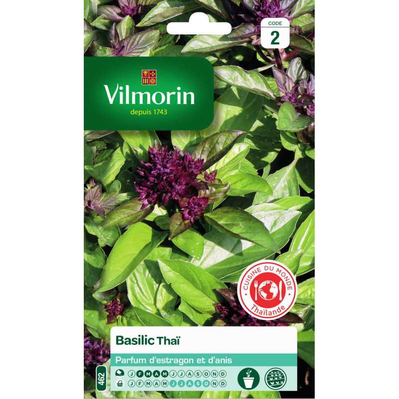Thai-Basilikum-Samen Vilmorin - Würzig-anisiges Aroma