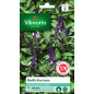Blue Spice Basil Seeds Vilmorin - Spiced Vanilla-Lemon Notes Blue Spice Basil Seeds Vilmorin - Spiced Vanilla-Lemon Notes