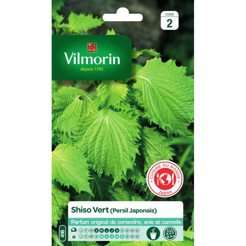 Grüner Shiso-Samen Vilmorin - Japanische Petersilie, einzigartiges Aroma Grüner Shiso-Samen Vilmorin - Japanische Petersilie, einzigartiges Aroma