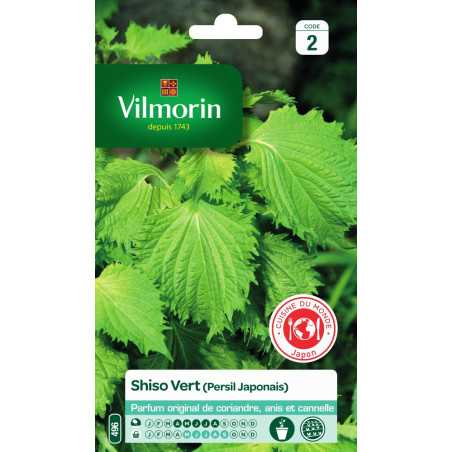 Sachet graines Shiso Vert ( persil japonais )
