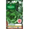 Grumolo Verde Chicory Leaf Seed Bag