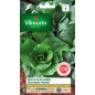 Grumolo Verde Foglia Chicorée Seme Borsa Grumolo Verde Foglia Chicorée Seme Borsa