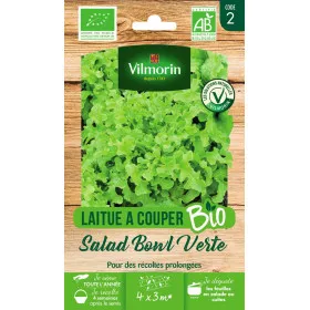 Bag seeds Lettuce to cut Salad Bowl green BIO
