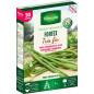 FORTEX Stringless Green Bean Seeds - 20 Metre Row FORTEX Stringless Green Bean Seeds - 20 Metre Row