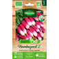 Sachet graines Radis Flamboyant 2 BIO -Raphanus sativus