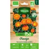 ORGANIC Orange Marigold Seeds Sachet - Calendula officinalis