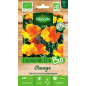 Beutel Samen Eschscholtzia Orange BIO - Eschscholzia californica
