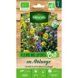 Bustina di semi Fiori melliferi in miscuglio per concime verde BIO Bustina di semi Fiori melliferi in miscuglio per concime verde BIO