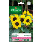 Suntastic F1 Sunflower Seed Bag - Helianthus annuus Suntastic F1 Sunflower Seed Bag - Helianthus annuus