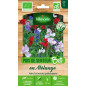 Sacchetto di semi di piselli biologici in mix biologico - Lathyrus odoratus Sacchetto di semi di piselli biologici in mix biologico - Lathyrus odoratus