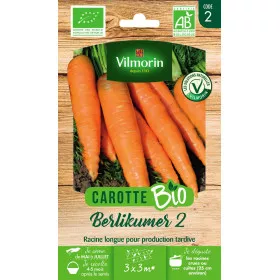 Sachet graines Carotte Berlikum 2 BIO - Daucus carota