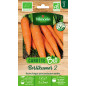 Berlikum Carrot Seed Bag 2 BIO - Daucus carota