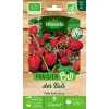 BIO Strawberry seeds bag - Fragaria vesca