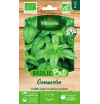 Samenbeutel Basilic Genovese BIO - Ocimum basilicum