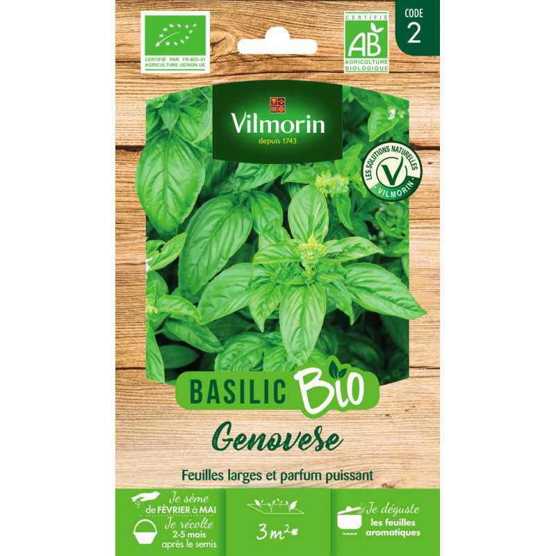 Semi Basilico Genovese BIO - L'autentica varietà italiana Semi Basilico Genovese BIO - L'autentica varietà italiana