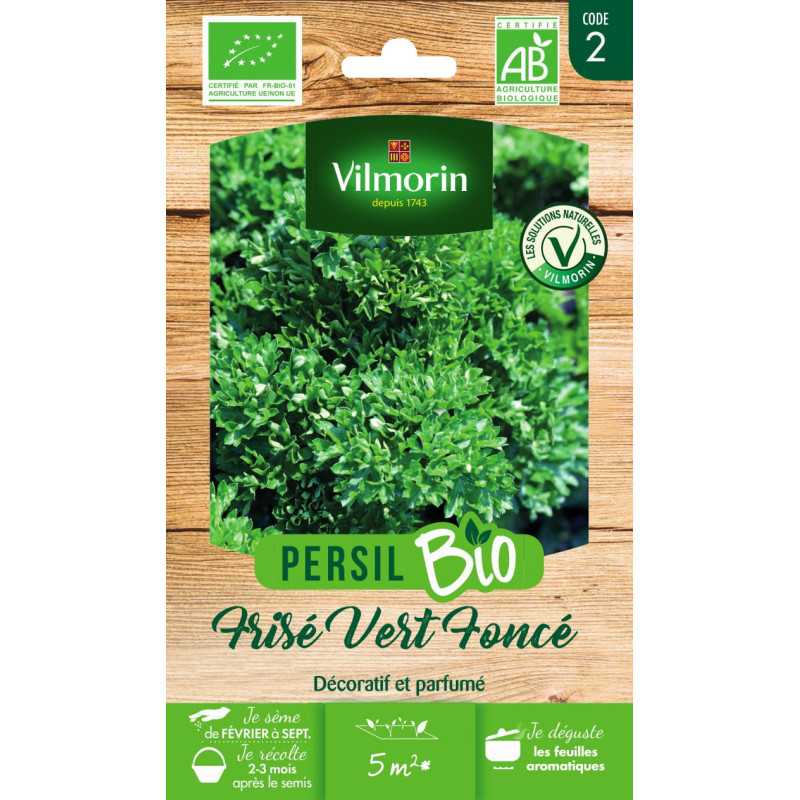 Semillas Perejil Rizado Verde Oscuro BIO - Petroselinum sativum Semillas Perejil Rizado Verde Oscuro BIO - Petroselinum sativum