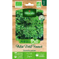 Borsa di semi di prezzemolo fritti verde scuro - Petroselinum sativum Borsa di semi di prezzemolo fritti verde scuro - Petroselinum sativum