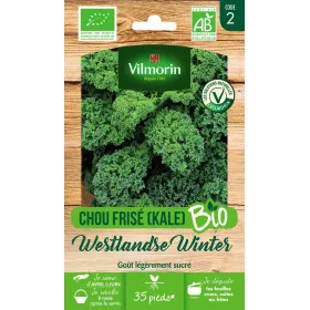 Kale Seed Sachet (KALE) Westlandse Winter ORGANIC - Brassica oleracea var. sabellica