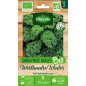 Chou Frisé Seed Bag (KALE ) Westlandse Winter BIO - Brassica oleracea var. sabellica Chou Frisé Seed Bag (KALE ) Westlandse Winter BIO - Brassica oleracea var. sabellica