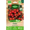 Sachet graines Tomate Cerise BIO - Solanum lycopersicum