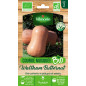 Waltham Butternut ORGANIC Musk Squash Seed Bag - Cucurbita pepo