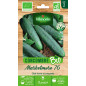 Bolsa de semillas de pepino Marketmore 76 ORGANIC - Cucumis sativus