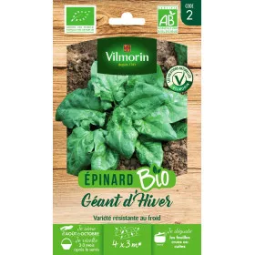 Seed Sachet Giant Winter Spinach BIO - Spinacia oleracea