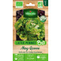 Maggio QUEEN BIO Borsa di semi di lattuga di mele - Lactuca sativa Maggio QUEEN BIO Borsa di semi di lattuga di mele - Lactuca sativa
