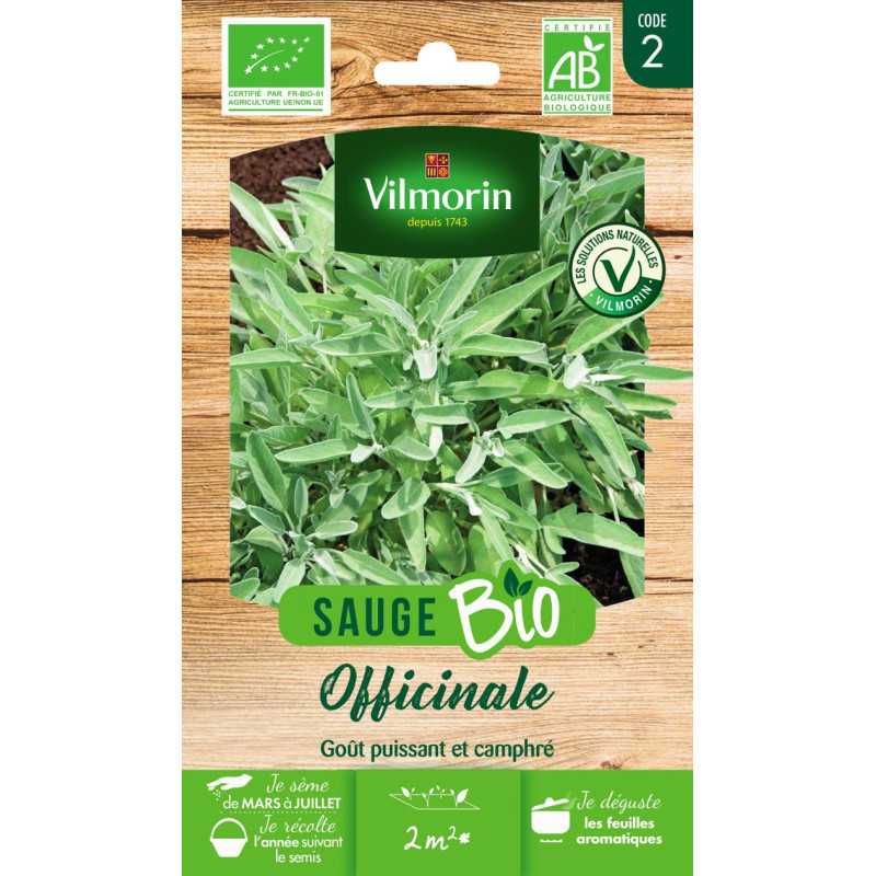 Organic Common Sage Seeds - Salvia officinalis, Evergreen Perennial Organic Common Sage Seeds - Salvia officinalis, Evergreen Perennial