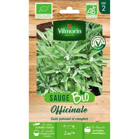 Sachet graines Sauge Officinale BIO - Salvia officinalis