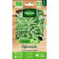 Semillas Salvia Officinal BIO - Salvia officinalis, vivaz perenne Semillas Salvia Officinal BIO - Salvia officinalis, vivaz perenne