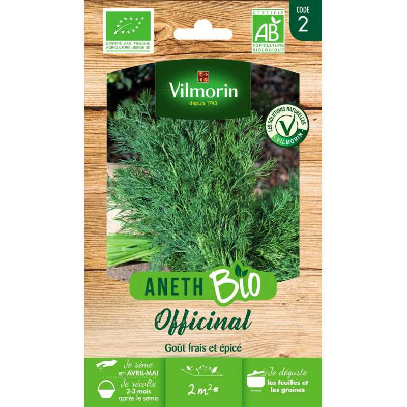 Organic Dill Seeds - Anethum graveolens, Leaves and Seeds Organic Dill Seeds - Anethum graveolens, Leaves and Seeds
